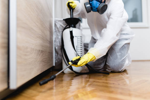 Best Best Pest Control Companies  in Rockdale, IL