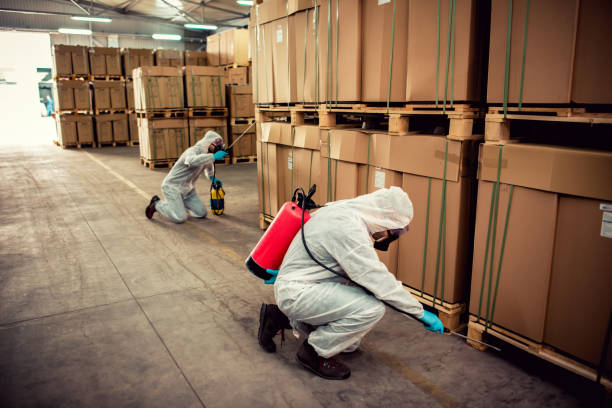 Best Pest Prevention Services  in Rockdale, IL