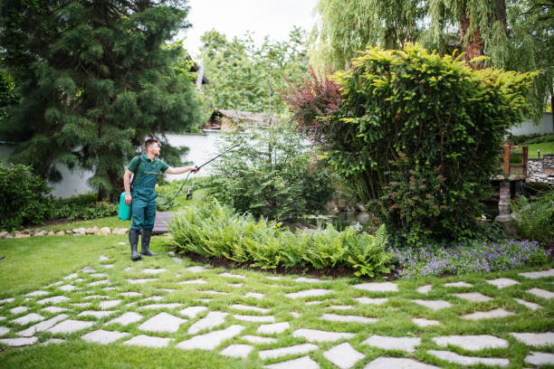 Best Wasp Removal Services  in Rockdale, IL