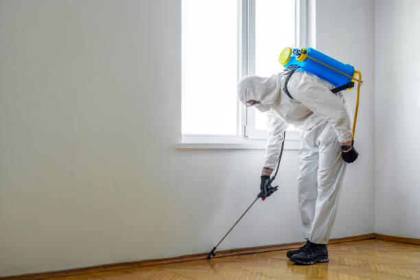 Trusted Rockdale, IL Pest Control Experts