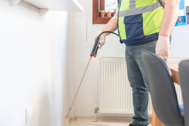 Best Wasp Removal Services  in Rockdale, IL