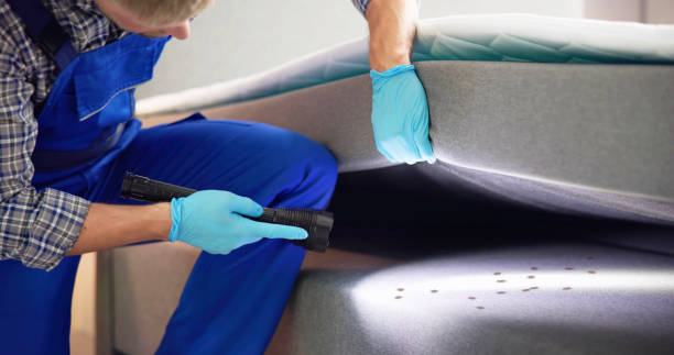 Best Pest Removal Services  in Rockdale, IL