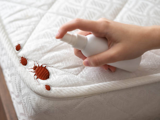 Best Exterminator Services  in Rockdale, IL