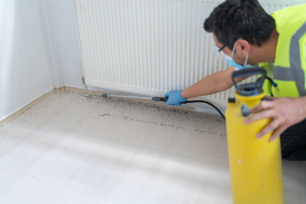 Reliable Rockdale, IL Pest Control Solutions