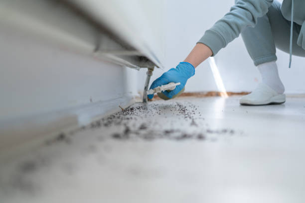 Best Pest Removal Services  in Rockdale, IL
