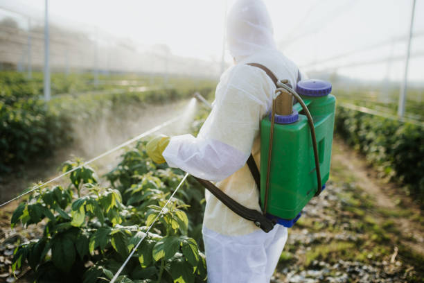Best Emergency Pest Control  in Rockdale, IL